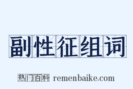 副性征组词是什么意思的图片